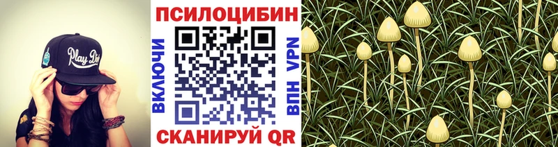 Псилоцибиновые грибы GOLDEN TEACHER  Купить закладки  Мамадыш 